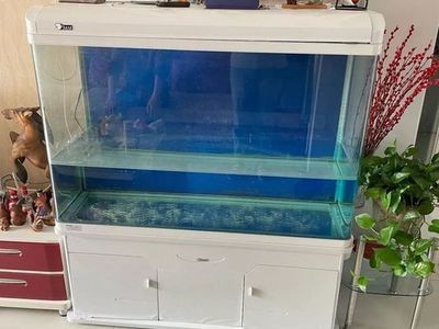 魚缸能要二手的嗎（二手魚缸值得買嗎）