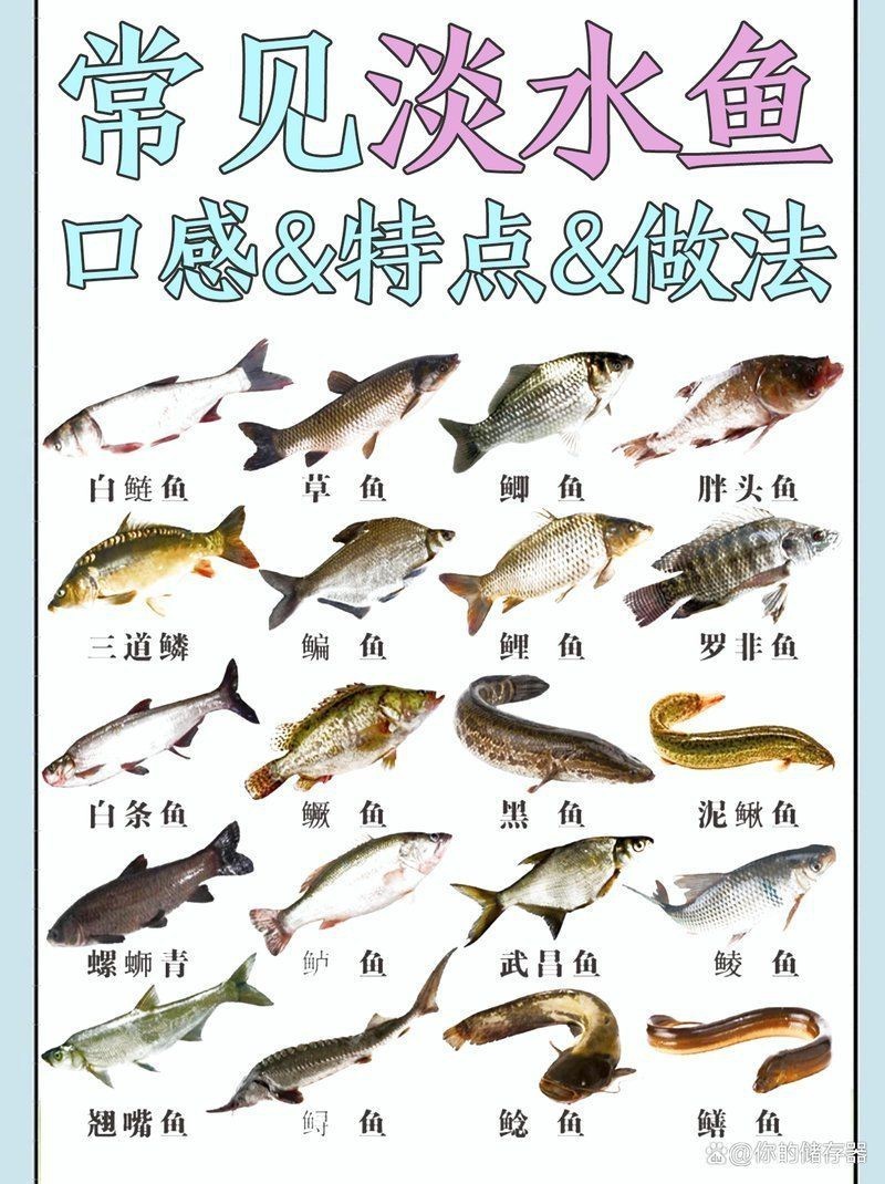 花斑魚和桂花魚的區別