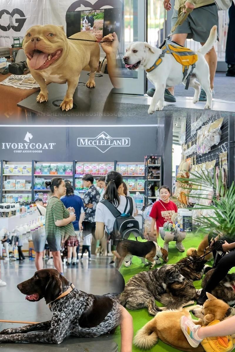 長城展覽 寵物展