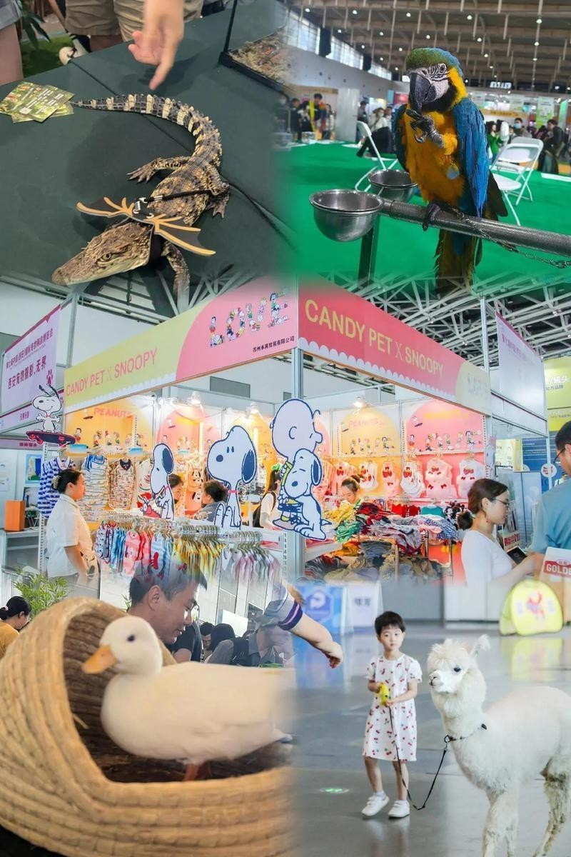 長城展覽 寵物展