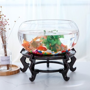 森森h(huán)e480魚缸改造（森森h(huán)e480魚缸改造成功案例）