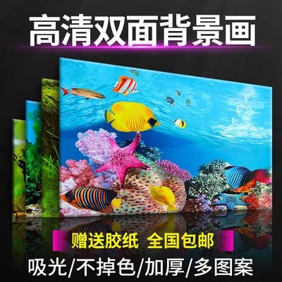 魚缸背景圖片大全超清 文字壁紙，魚缸背景圖片大全超清