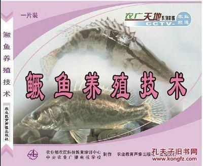 淡水魚高效養殖與疾病防治技術包括池塘高效養殖技術：關于淡水魚養殖的一些問題
