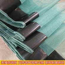 如何選擇適合養(yǎng)殖的龍蝦網(wǎng)？ 如何選擇適合養(yǎng)殖的龍蝦網(wǎng)？ 2025長(zhǎng)城杯龍魚大賽 第4張