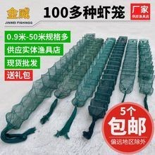 如何選擇適合養(yǎng)殖的龍蝦網(wǎng)？ 如何選擇適合養(yǎng)殖的龍蝦網(wǎng)？ 2025長(zhǎng)城杯龍魚大賽 第5張
