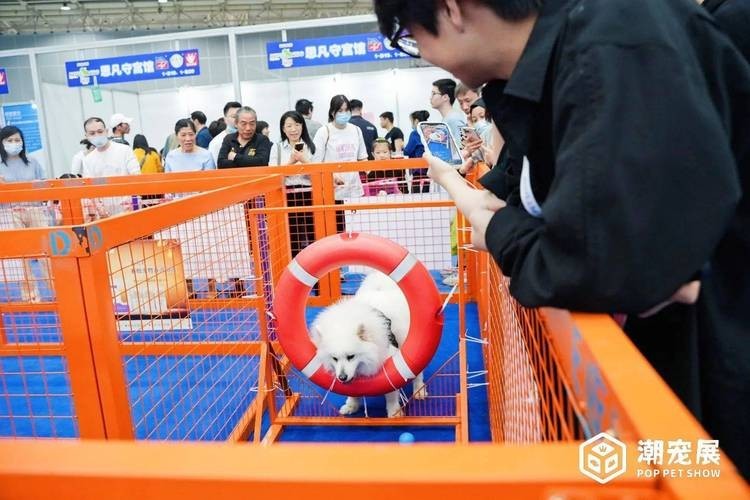 如何獲取2025廣州寵物展會的門票？ 如何獲取2025廣州寵物展會的門票？ 2025長城杯龍魚大賽 第6張
