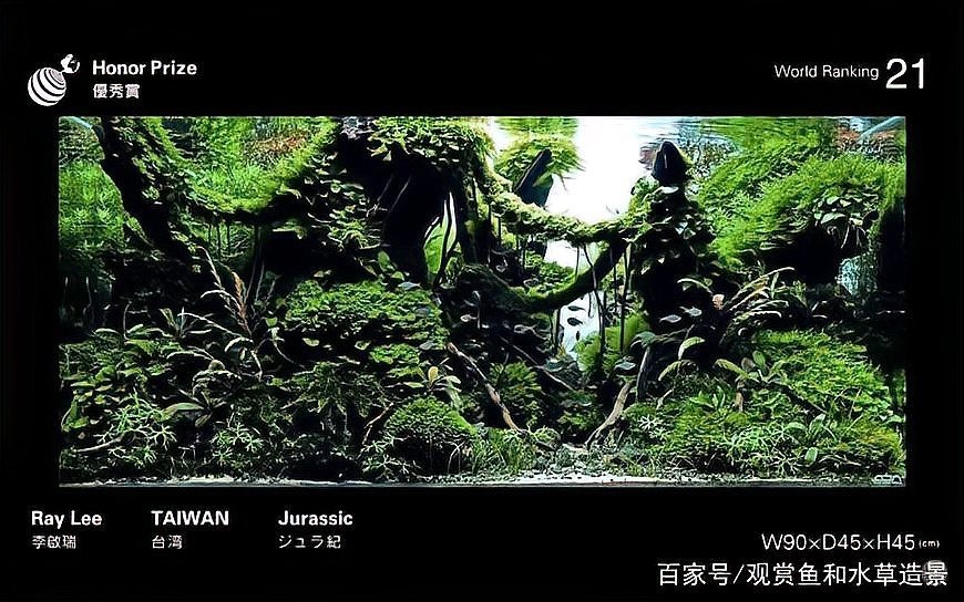 世界草缸造景大賽獲獎