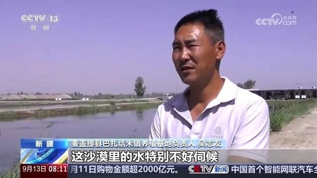 觀賞蝦怎么養