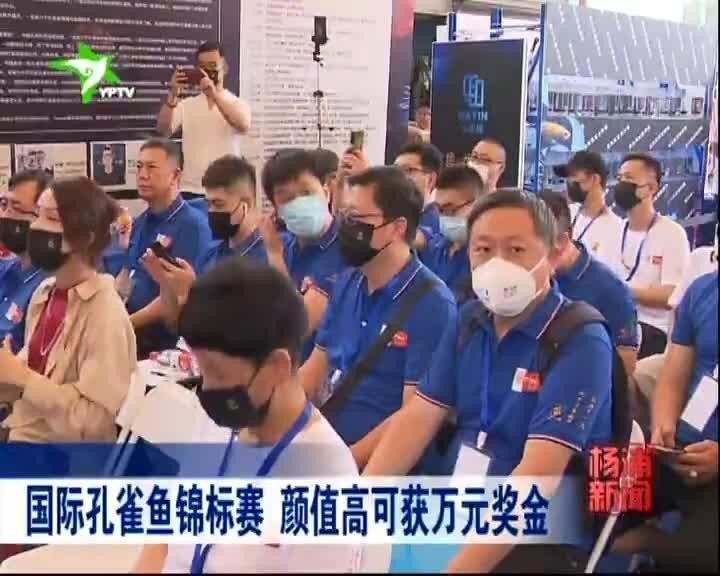 觀賞魚大賽的獎金是多少？ 觀賞魚大賽的獎金是多少？ 2025長城杯龍魚大賽 第8張
