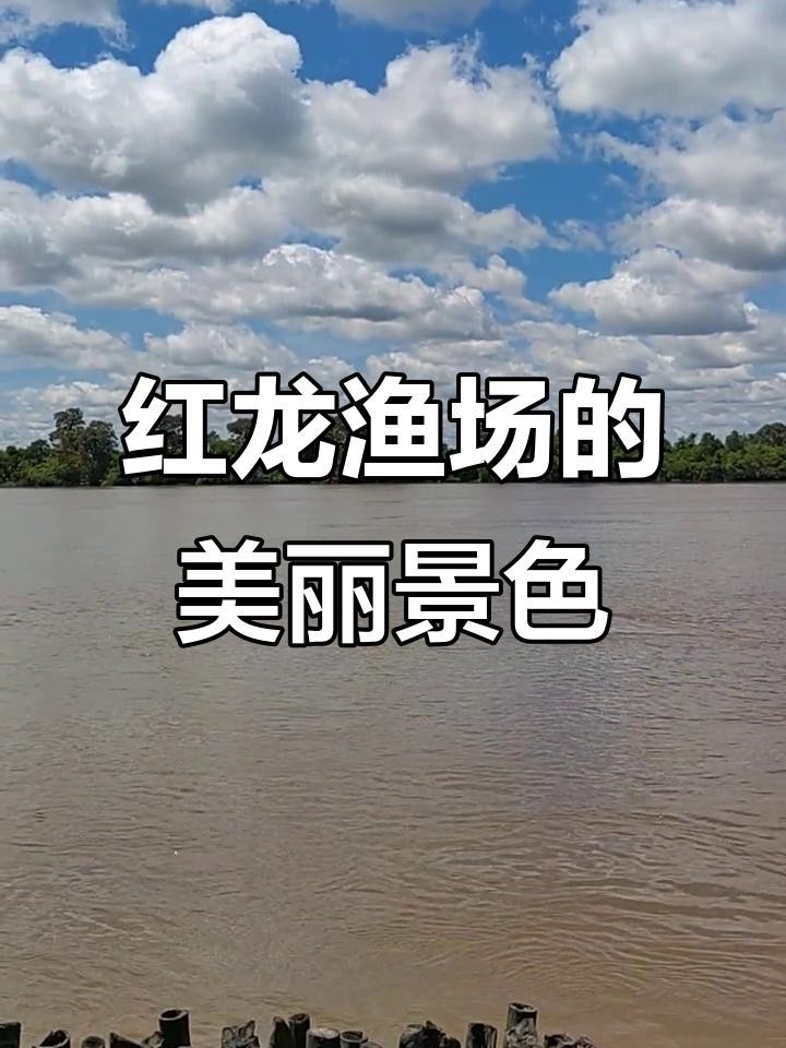 給我推薦一些紅龍魚(yú)場(chǎng)