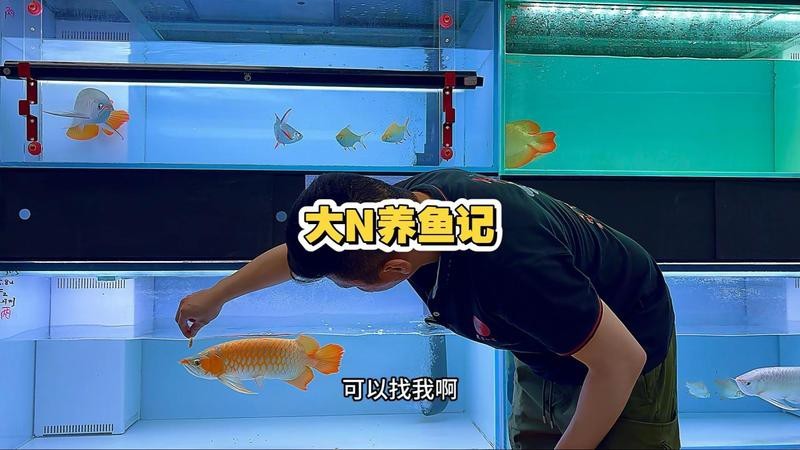 給我推薦一些紅龍魚場
