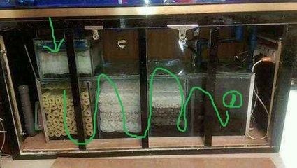 給魚缸打孔（給魚缸打孔的步驟與注意事項）