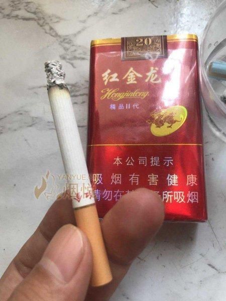 紅金龍小白龍圖片