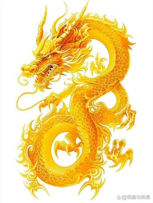 有哪些龍頭朝向的吉祥圖片？