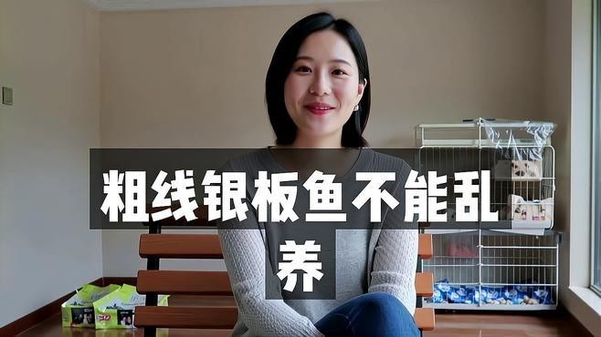 銀板魚適合多大的魚缸？