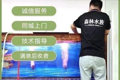 祥龍電器魚缸：祥龍電器魚缸開缸步驟詳解魚缸日常維護技巧