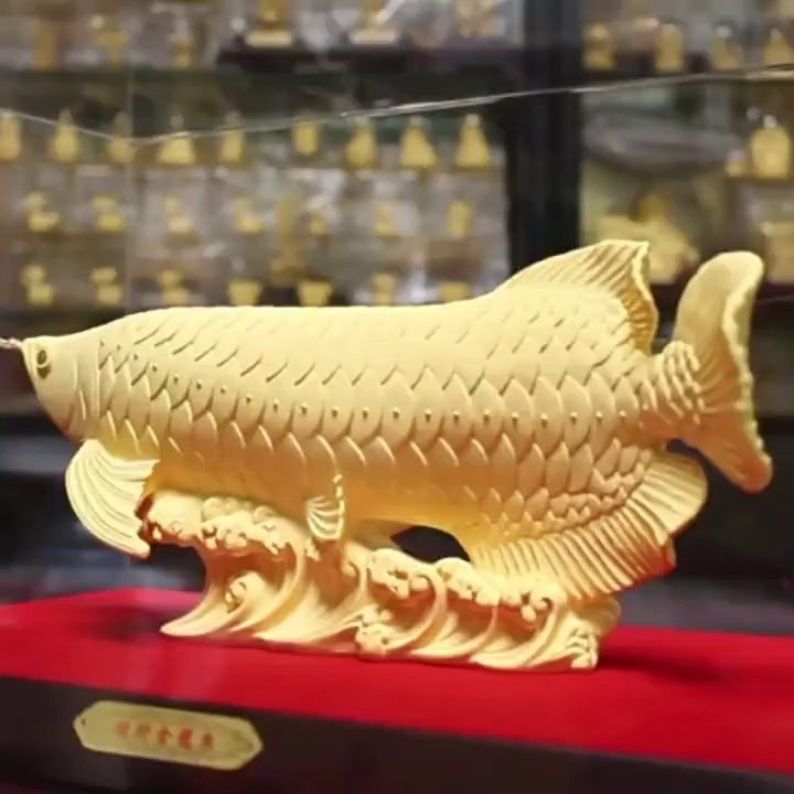 龍魚擺件不能買的原因