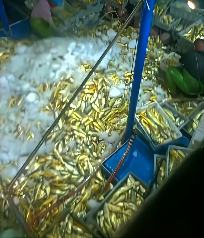 如何搜索更多魚視頻資源？