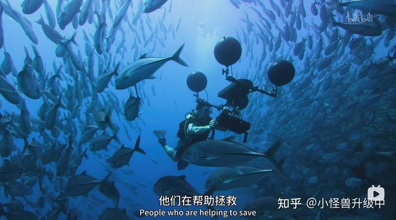 如何搜索更多魚視頻資源？