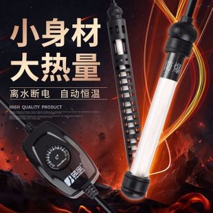 龍魚缸需要什么設備：龍魚缸加熱棒使用技巧