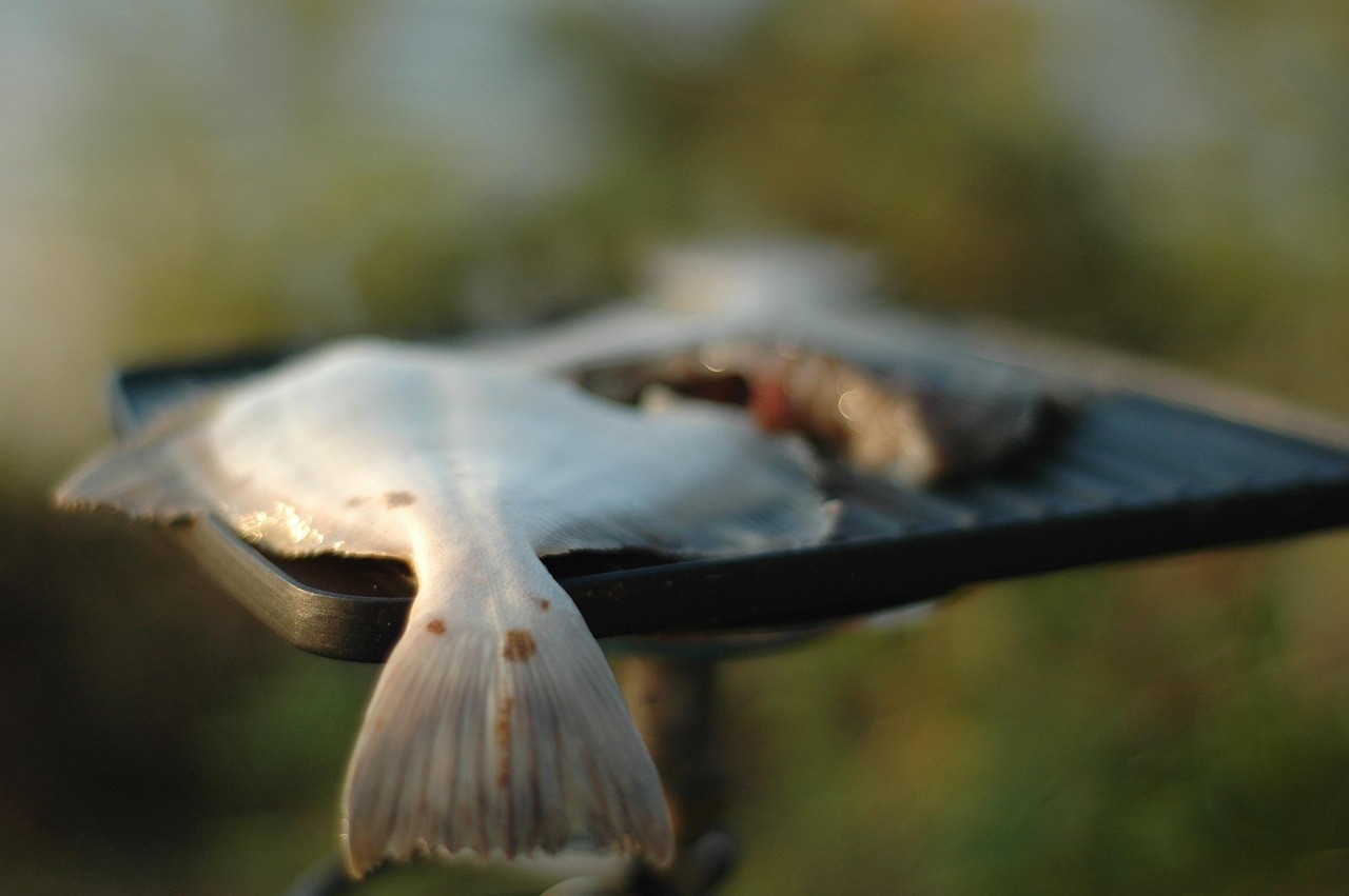 珠海龍魚的真實身份是什么，“珠海龍魚”的真實身份是什么，珠海龍魚的真實身份是什么