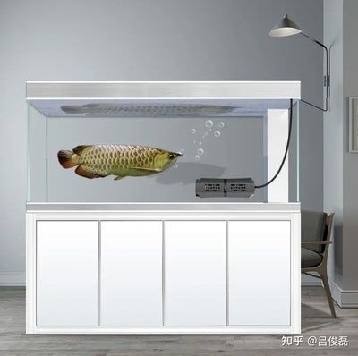 加熱棒放魚缸正確圖（加熱棒的擺放位置對魚缸內的水溫控制非常重要）