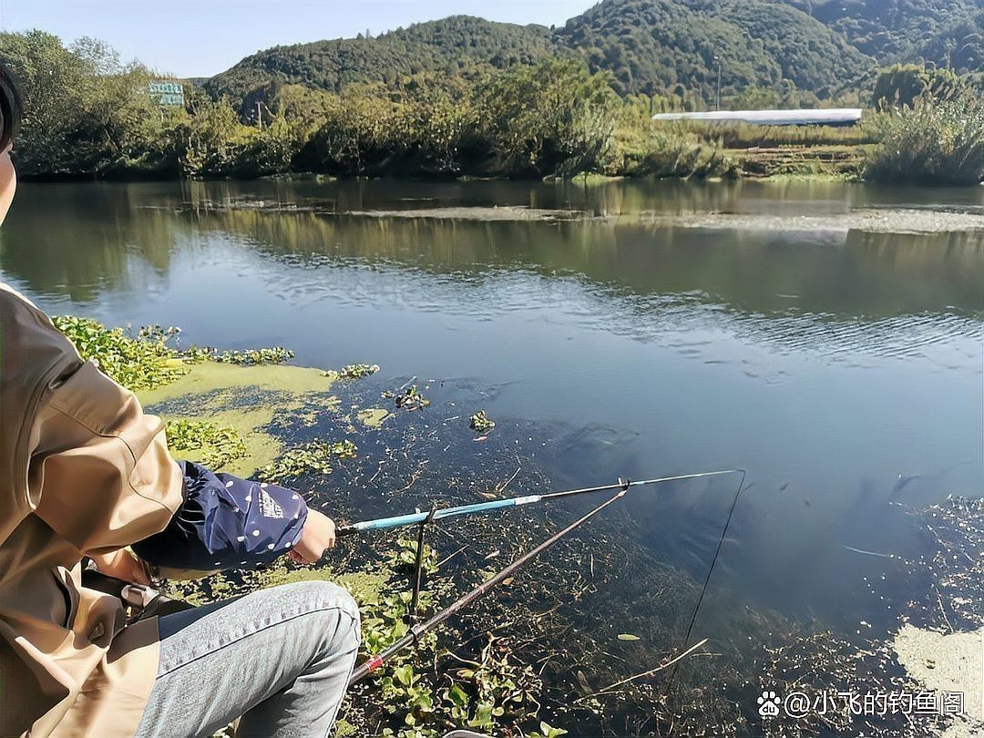 魚缸里的魚缸里的石頭圖片和魚缸里的石頭圖片的作用：魚缸里的石頭怎么洗