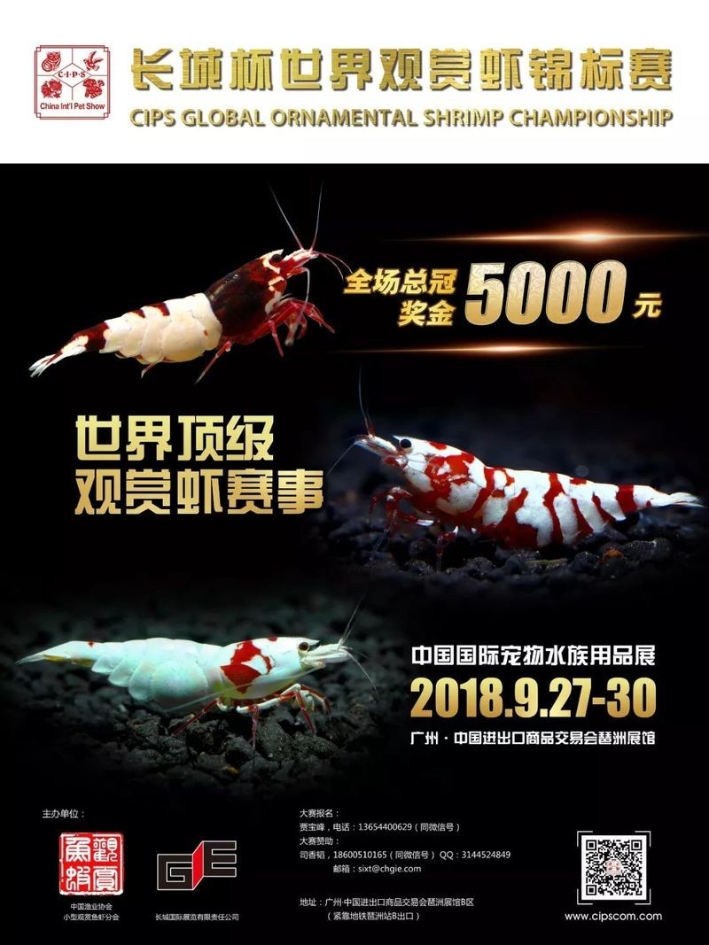 長城杯觀賞蝦錦標賽怎么參加