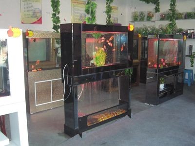 廣饒縣二手魚缸市場：東營市水族文化探秘東營市水族文化探秘東營市水族文化