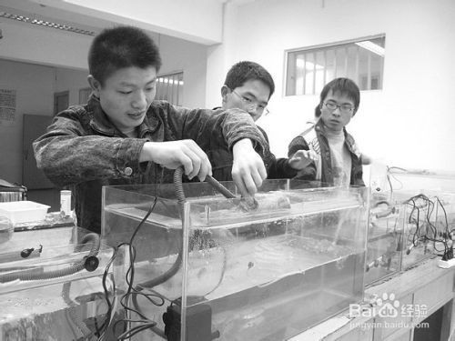 魚缸換水后注意事項：在魚缸換水后，應注意以下幾點：確保水質穩定，水溫適宜
