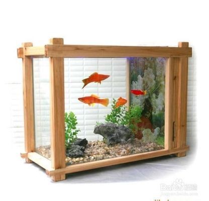 魚缸換水后注意事項：在魚缸換水后，應注意以下幾點：確保水質穩定，水溫適宜