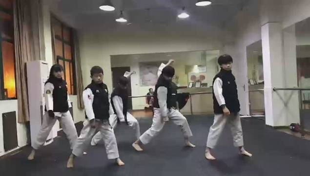 紅龍魚一共多少元 紅龍魚一共多少元 龍魚百科 第6張