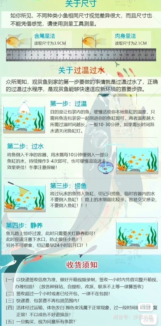 斑馬狗頭魚鄭州漁場發貨包郵紅順紋精品