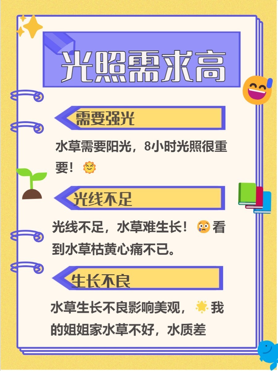 金龍魚缸里為什么不養(yǎng)水草