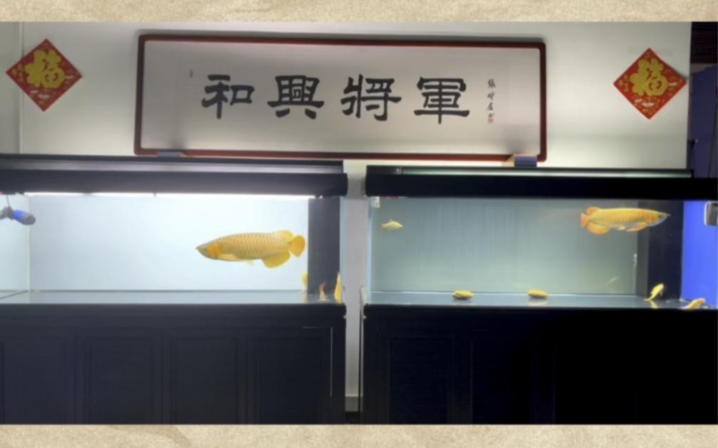 龍魚換水一般用什么水？