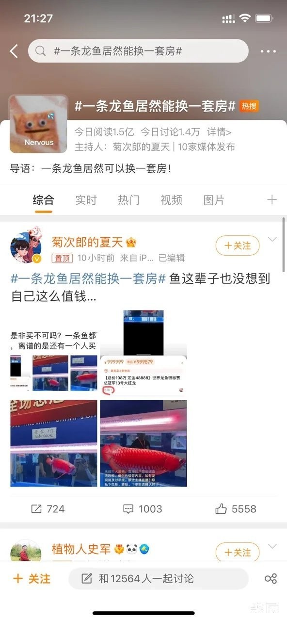 青龍魚貴還是銀龍魚貴(青龍魚和銀龍魚哪個貴)