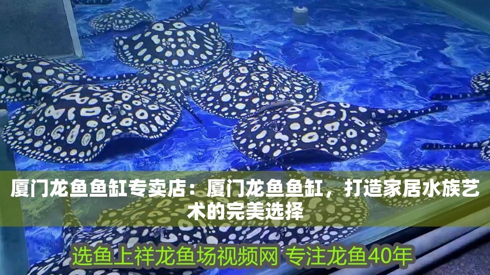廈門龍魚魚缸專賣店:廈門龍魚魚缸,打造家居水族藝術的完美選擇 魚缸百科 第1張 廈門龍魚魚缸專賣店:廈門龍魚魚缸,打造家居水族藝術的完美選擇 廈門龍魚魚缸專賣店:廈門龍魚魚缸,打造家居水族藝術的完美選擇 魚缸百科 第1張