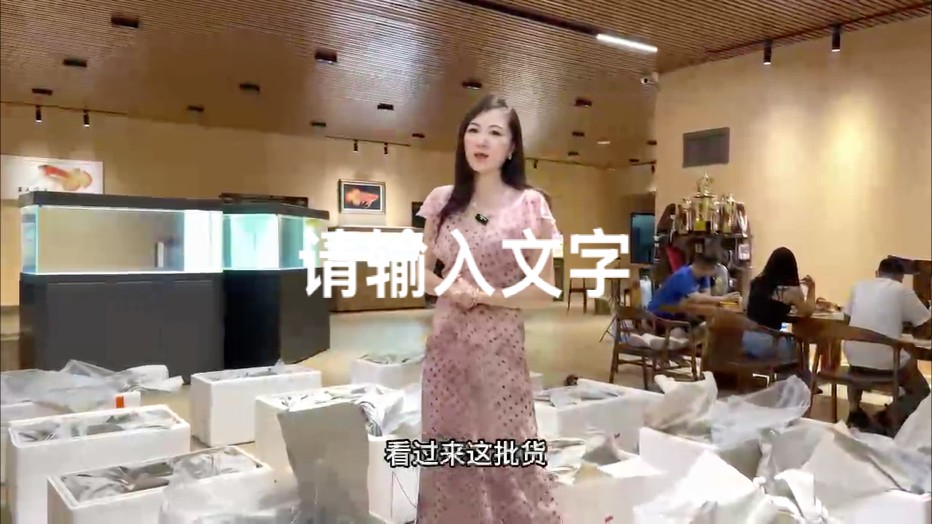 全部硬骨老血統(tǒng)紅龍魚(yú)！ 印尼????蘇呵德?tīng)柤t龍魚(yú)三大特點(diǎn)： 1??體型大 2??鯁骨硬 3??發(fā)色紅 #萬(wàn)隆天王紅龍 #紅龍 #龍魚(yú) #觀賞魚(yú)