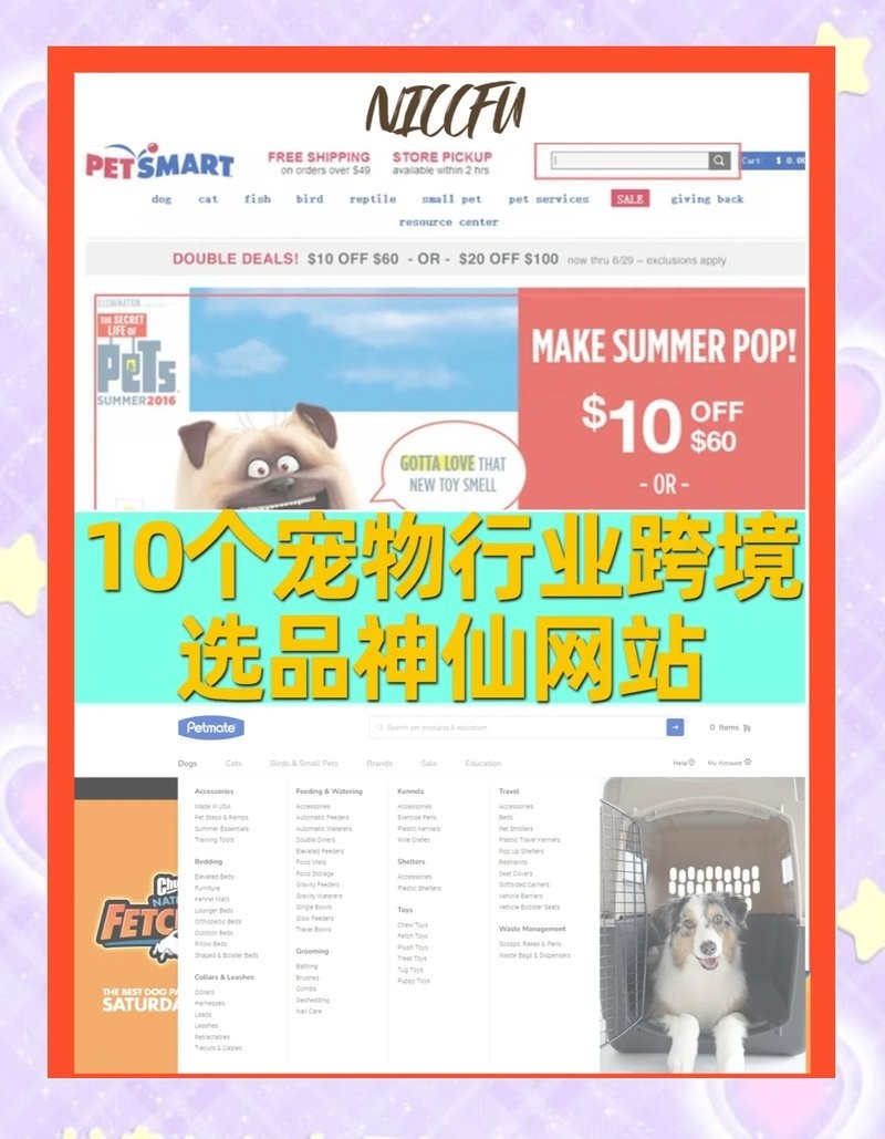 哪個平臺寵物用品選擇最多？