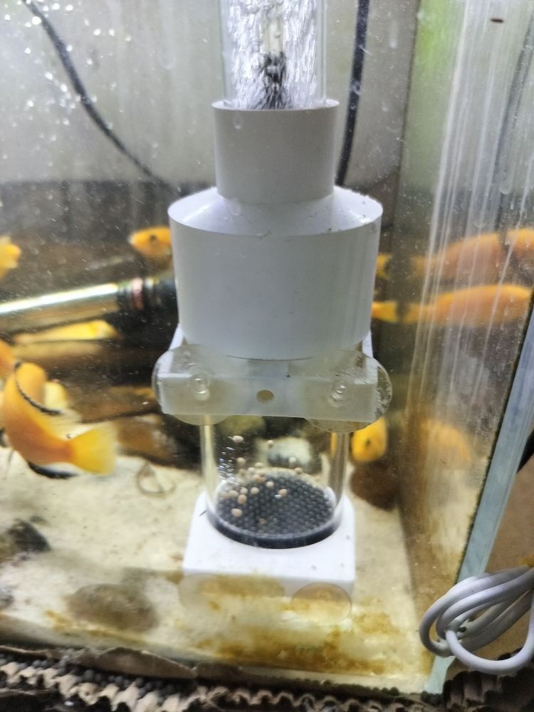 藍底龍魚用什么顏色的燈光好