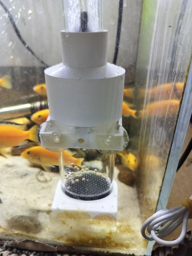 藍底龍魚用什么顏色的燈光好