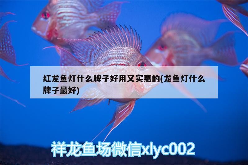 開平市三埠區藝昌水簇店（開平市三埠區藝昌水簇店電話）