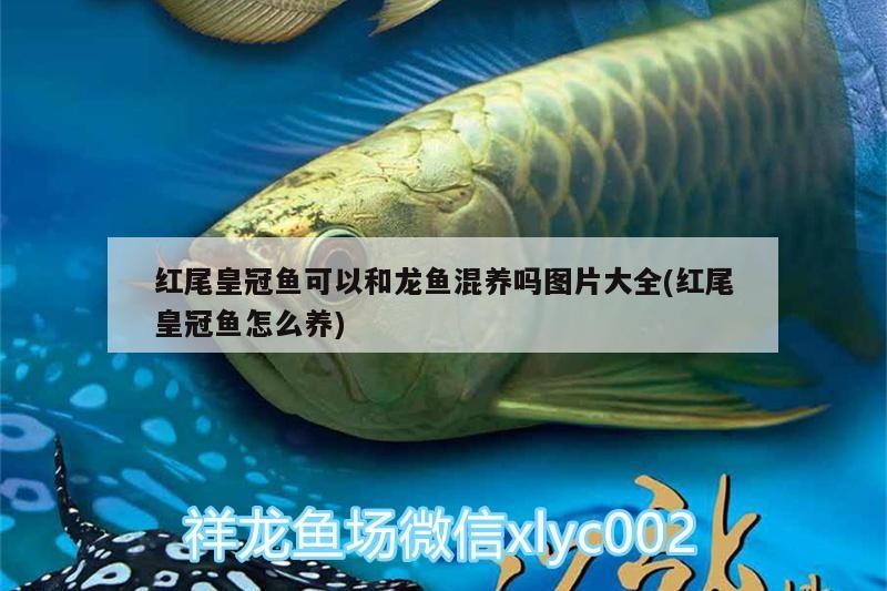 開平市三埠區藝昌水簇店（開平市三埠區藝昌水簇店電話）