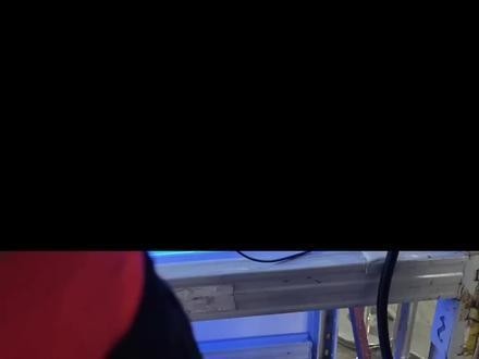 長城杯世界龍魚錦標賽何時開始？