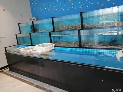 海鮮魚缸制作、貝類池和冰鮮臺海鮮缸的制作和定制：關(guān)于海鮮魚缸的一些問題
