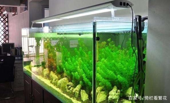 棗莊市市中區(qū)鴻潤水族館（棗莊市市中區(qū)鴻潤水族館電話）