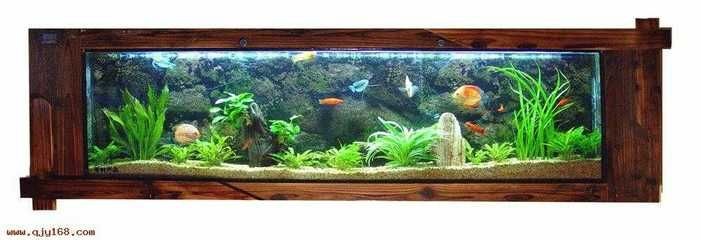 海之韻魚缸（水族箱的歷史演變）