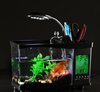 定興縣魚缸銷售點(diǎn)：定興縣哪里有專門賣魚缸的店鋪