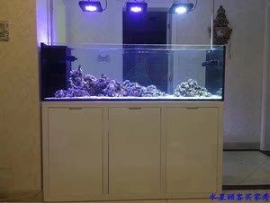 魚缸底濾的科學原理如何優化魚缸底濾布局確保魚類健康：魚缸底濾的科學原理