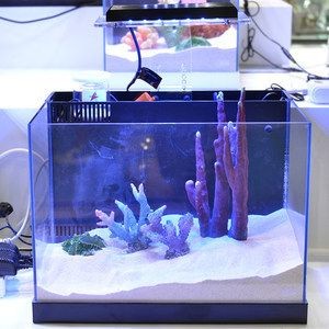 魚缸底濾的科學原理如何優化魚缸底濾布局確保魚類健康：魚缸底濾的科學原理